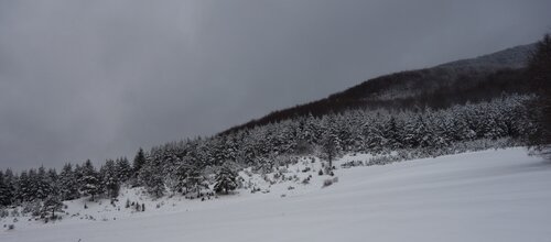 DSC01695