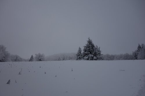 DSC01760