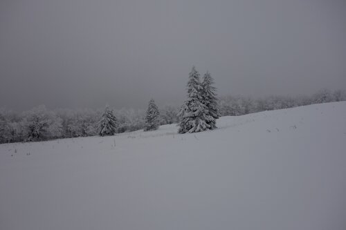 DSC01762